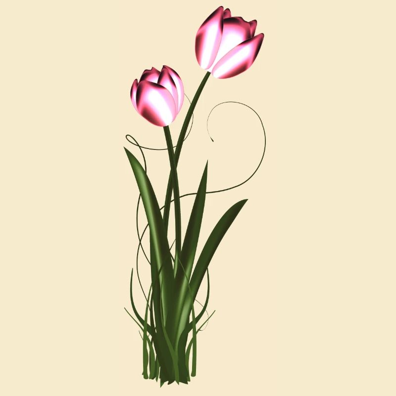 two metallic shimmering tulips in spring