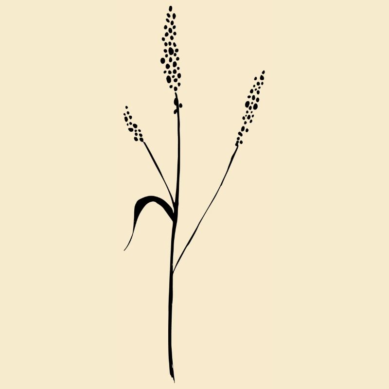 blume