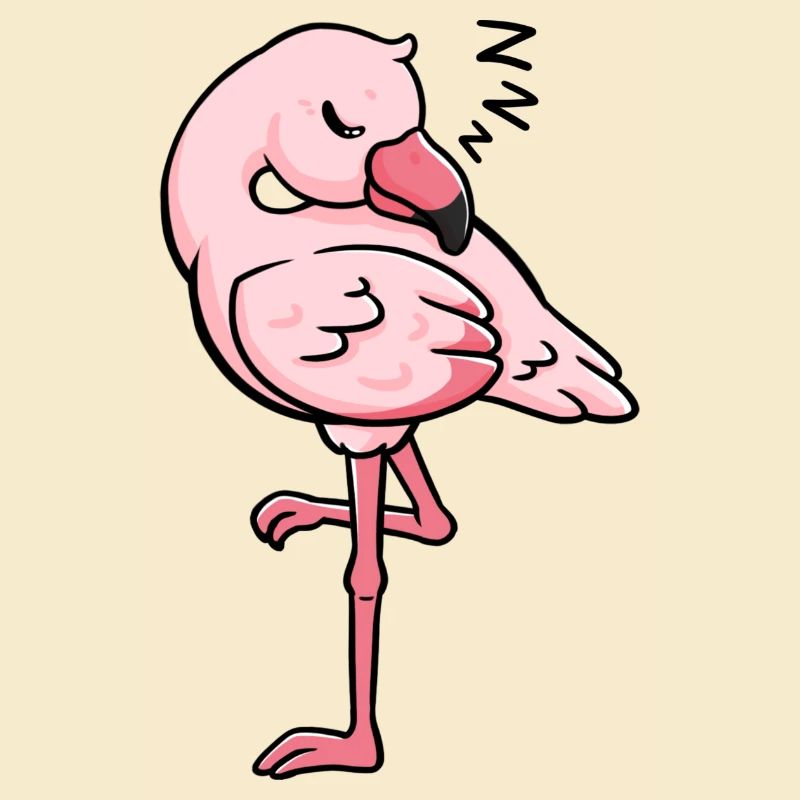 Flamingo sleeping gift idea