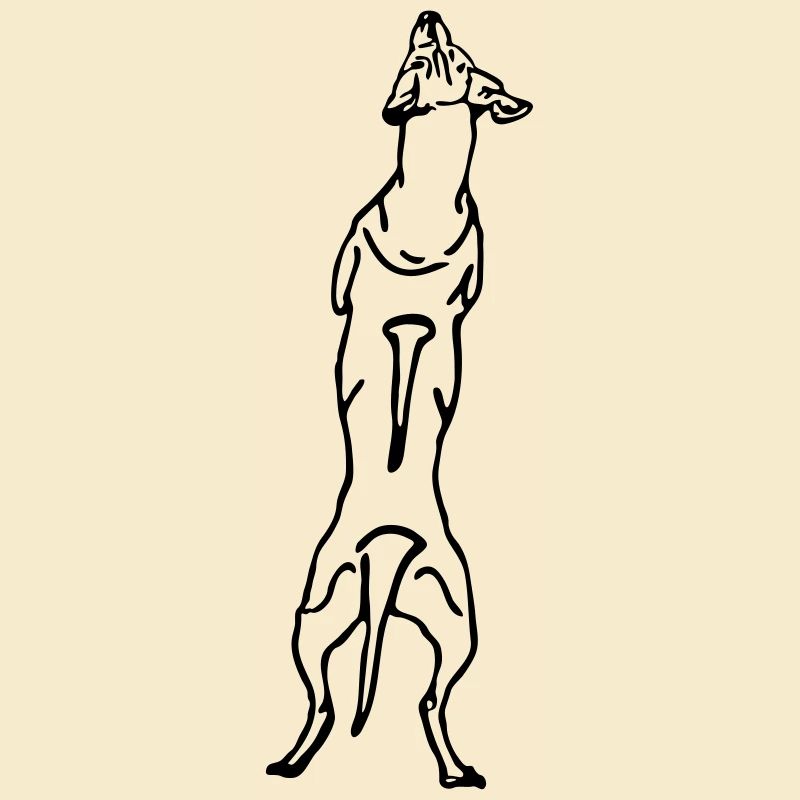 Ridgeback back