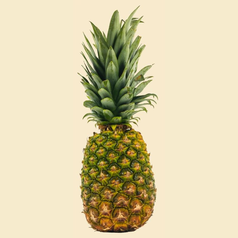 Ananas pineapple