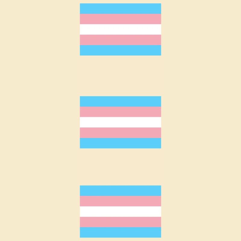 Drapeaux de la Fierté Trans