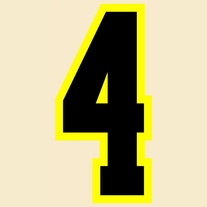 4 Number Leotard