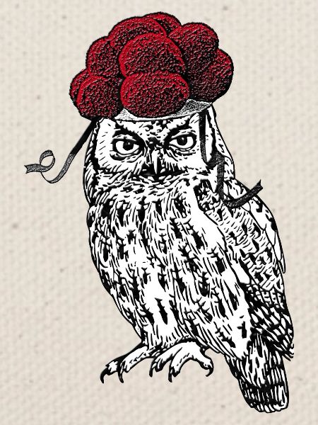 🦉 Eule mit Bollenhut 🌳