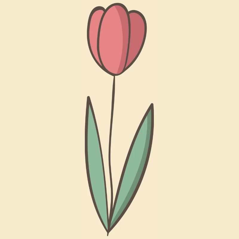 Tulpe