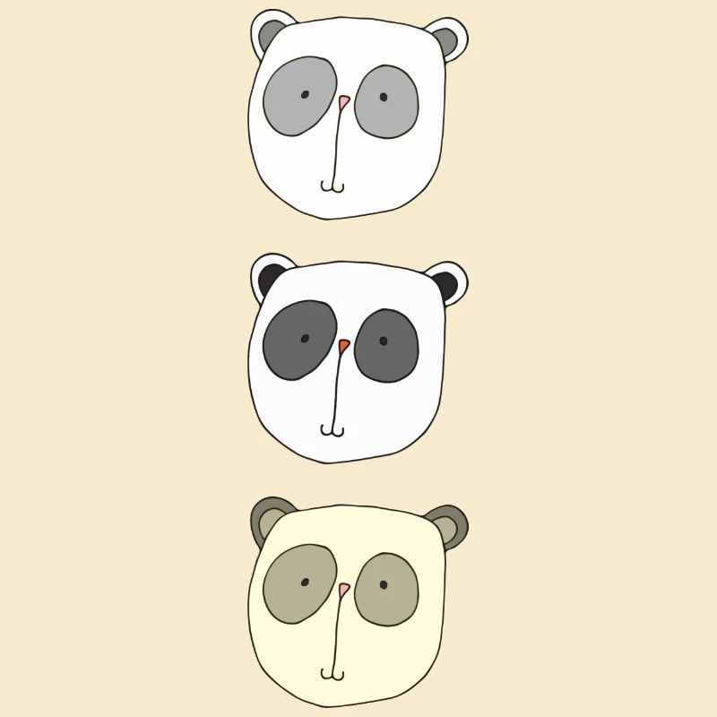 koala brüder
