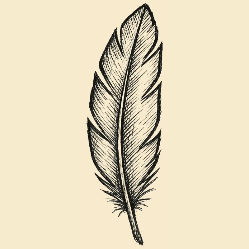 Black feather in night light