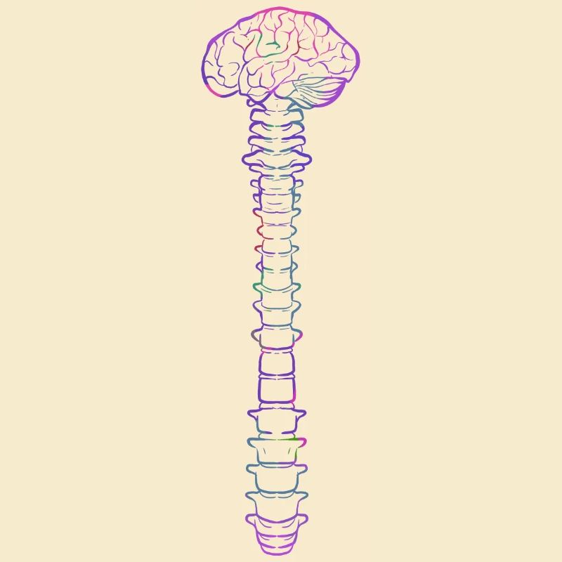 Physiotherapeut