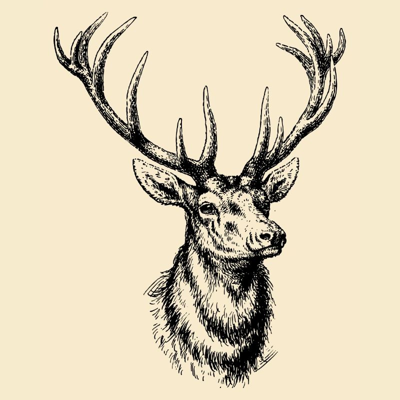 Wildtiere
