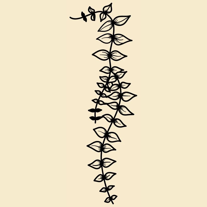 Hanging plant 2