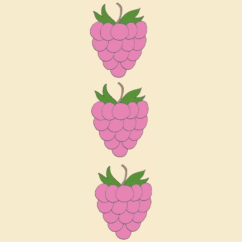 himbeeren Trio Muster