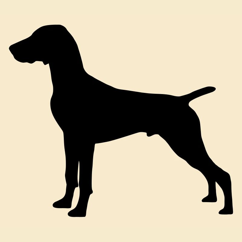 German Shorthaired Pointer
