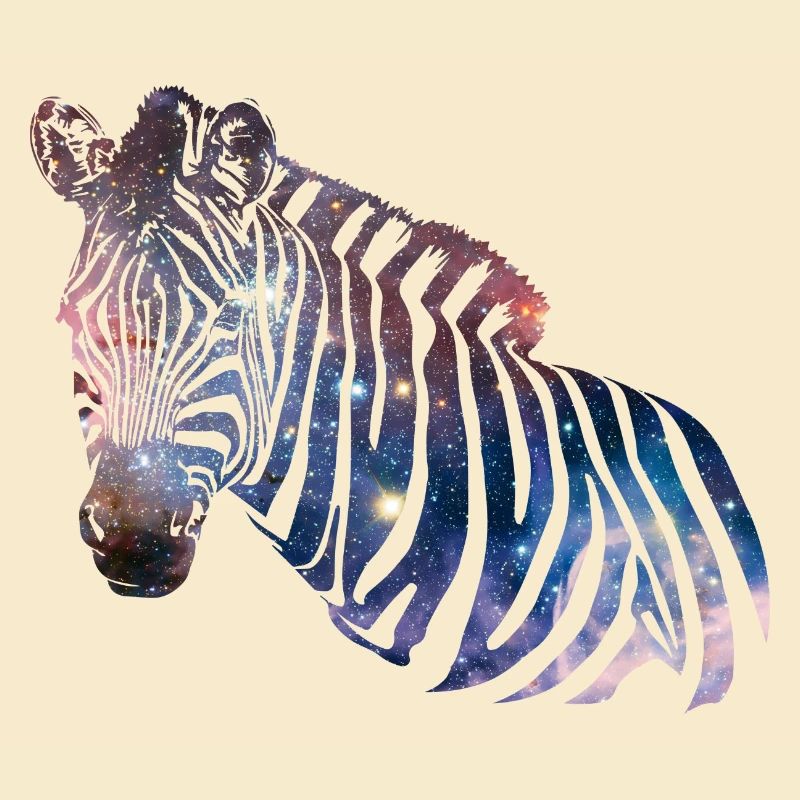 Zebra Galaxy