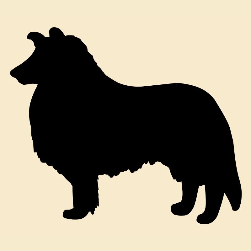 Collie Dog