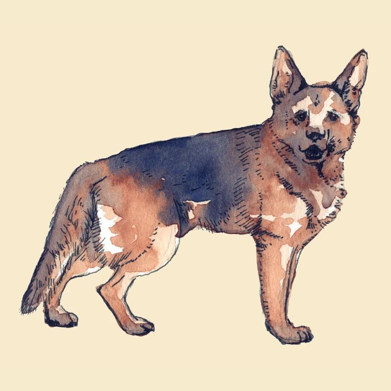 Deutscher Schäferhund