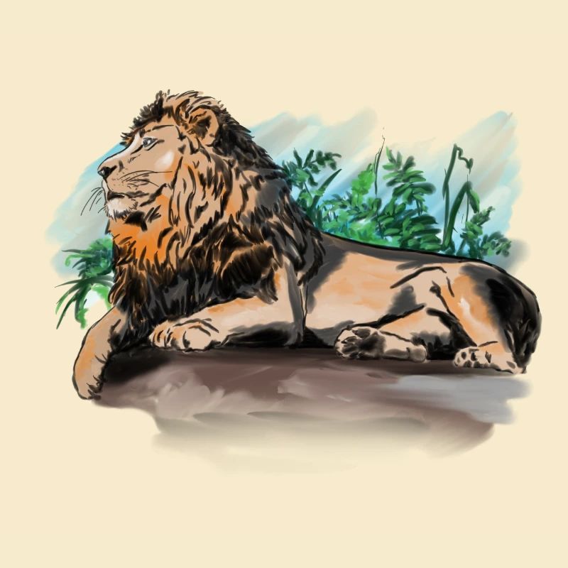 Lion