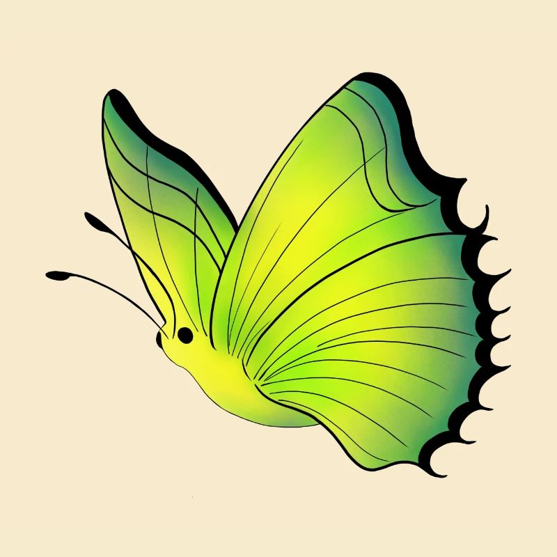Papillon