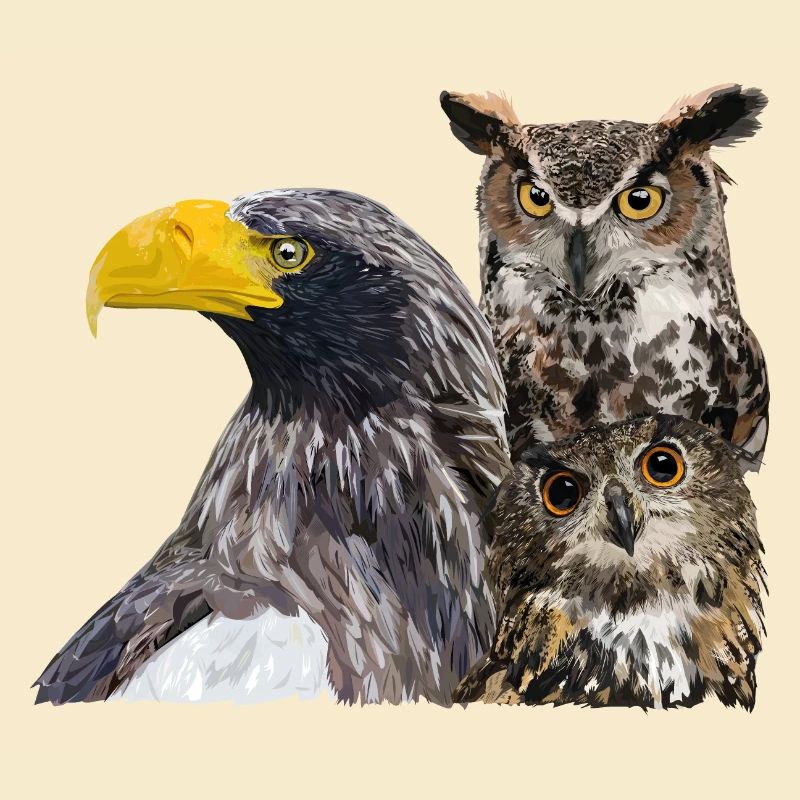 Raubvögel