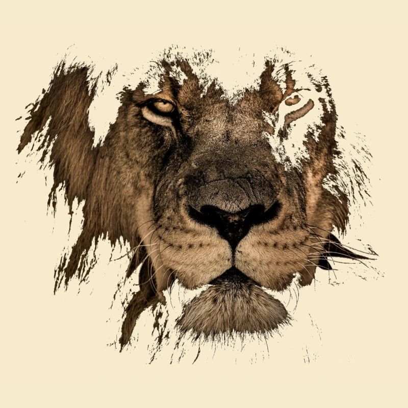 Löwe Designe, Sternzeichen, Lion