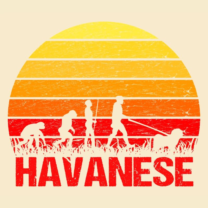 Havanese Sunrise Walk Evolution Funny