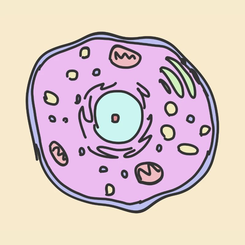 cellule animale