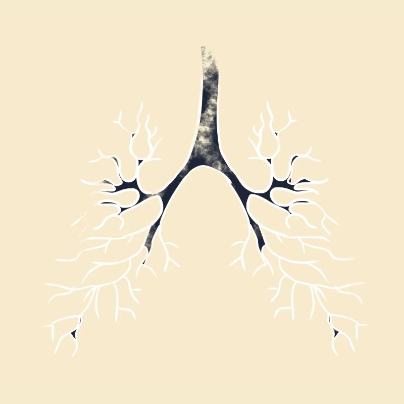 Bronchi lungs