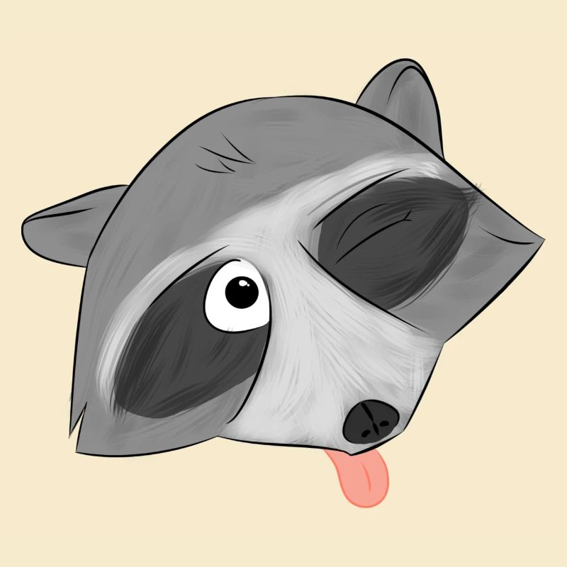 Jimbo der Waschbär