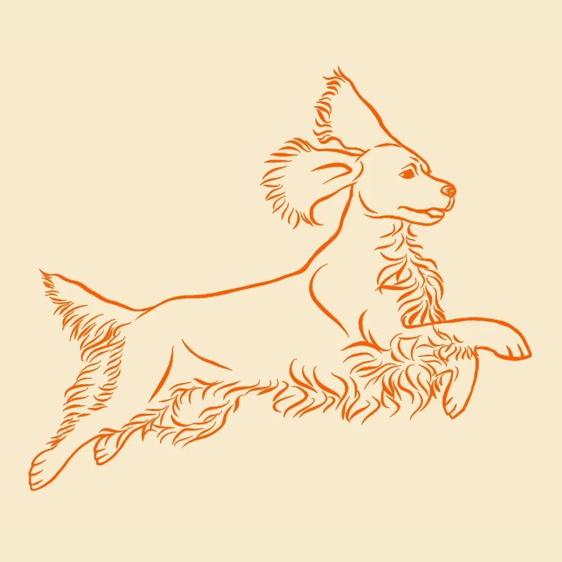 Springer Spaniel en orange