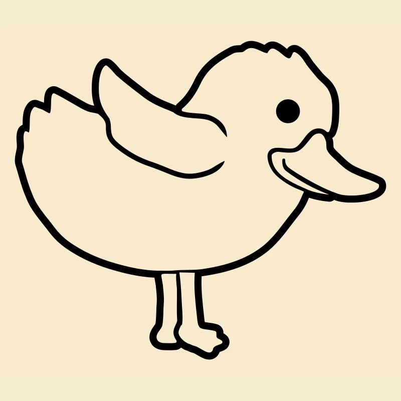 Dear duck cute chick