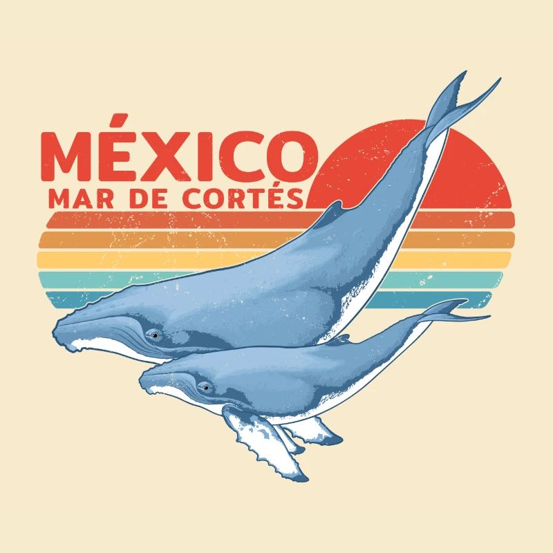 Buckelwale Mexiko