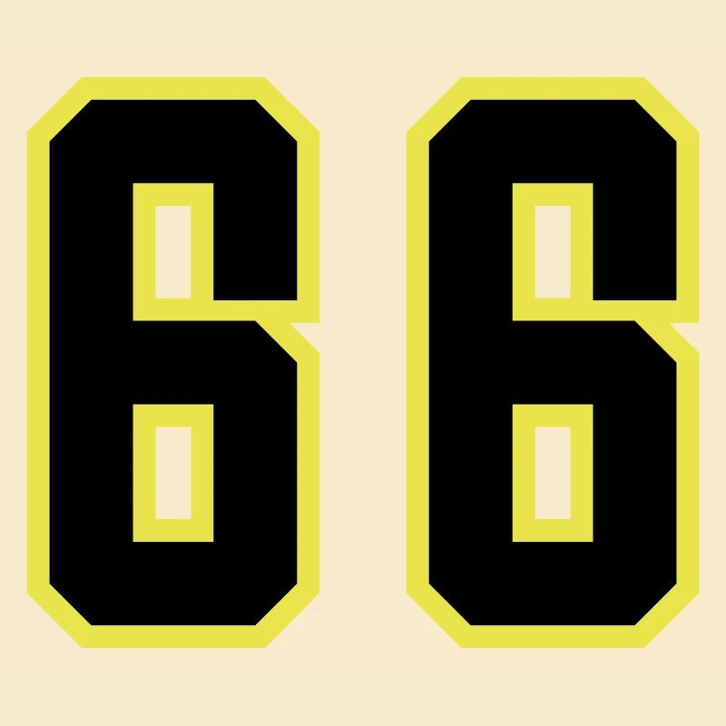 Justaucorps à 66 chiffres