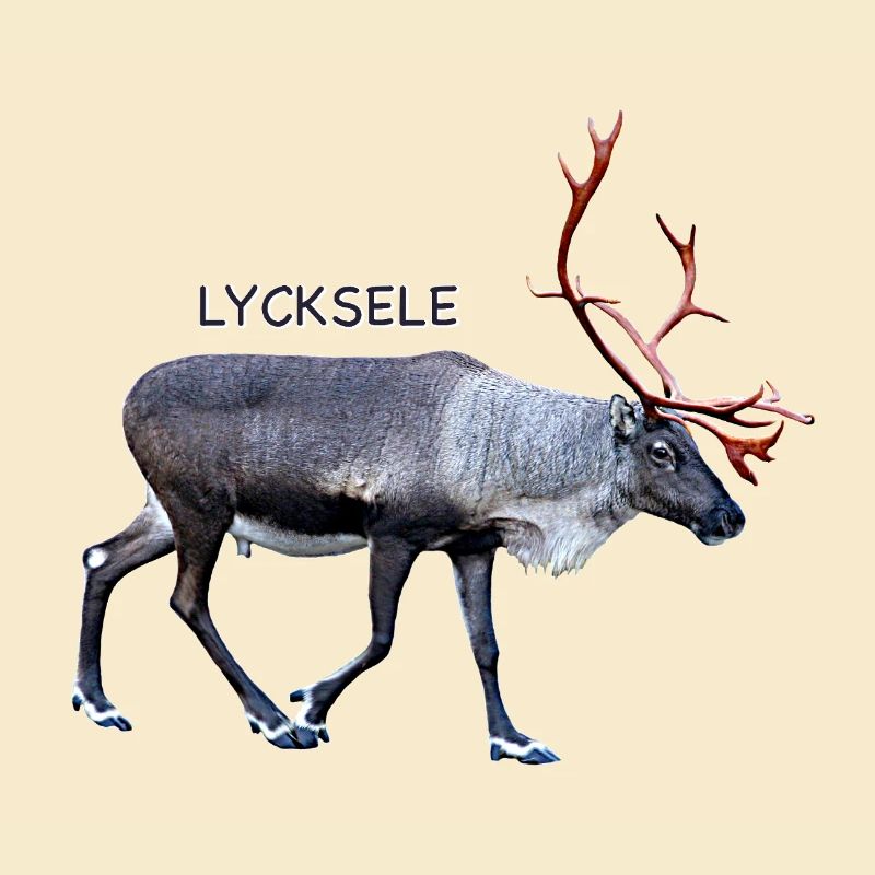 LYCKSELE