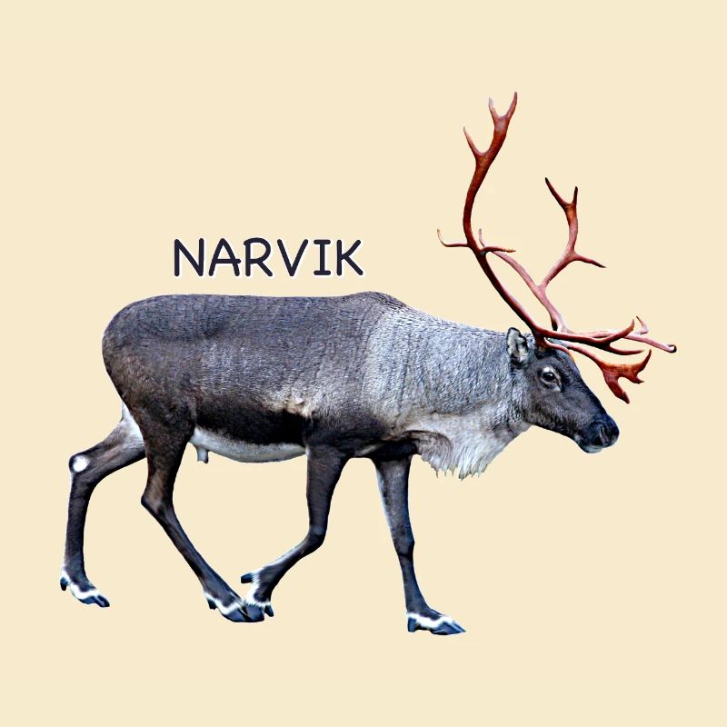 NARVIK