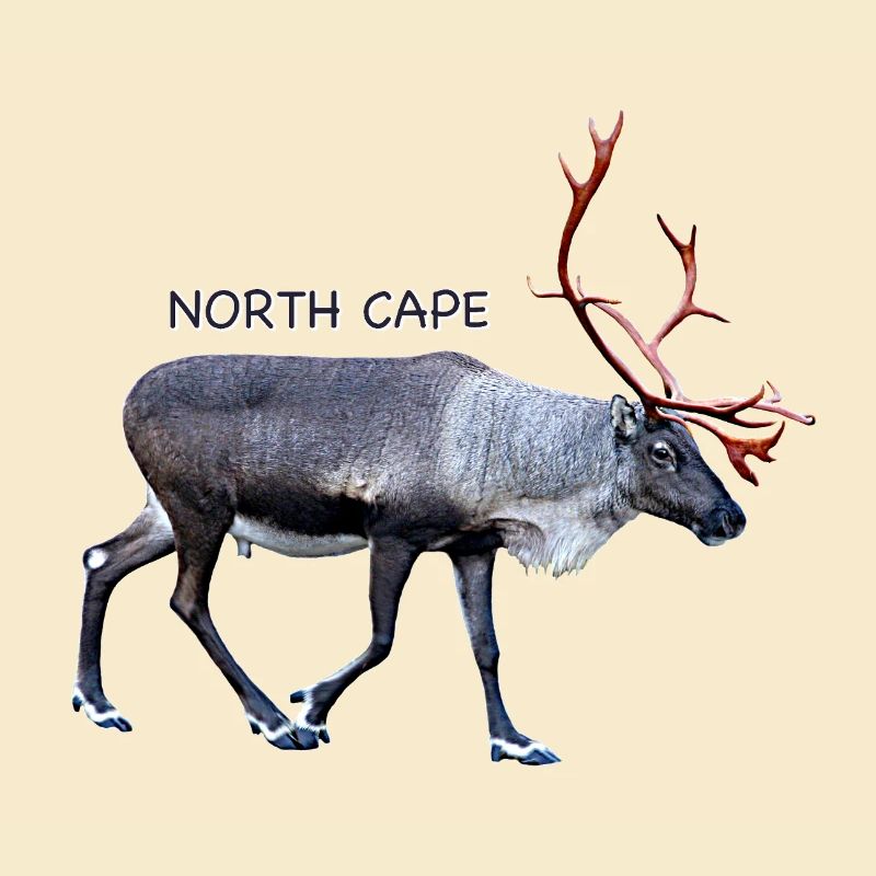 NORDKAP