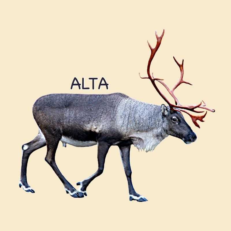 Alta