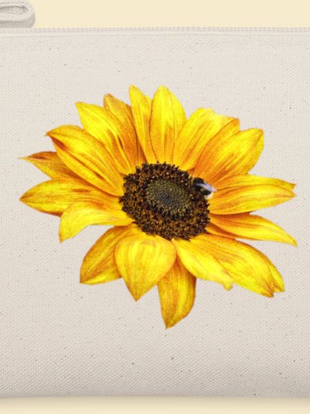 Sonnenblume
