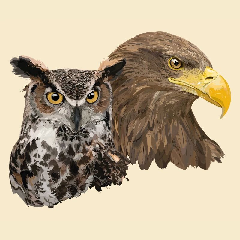 Pigargo und Eule