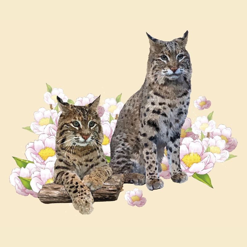 Luchs