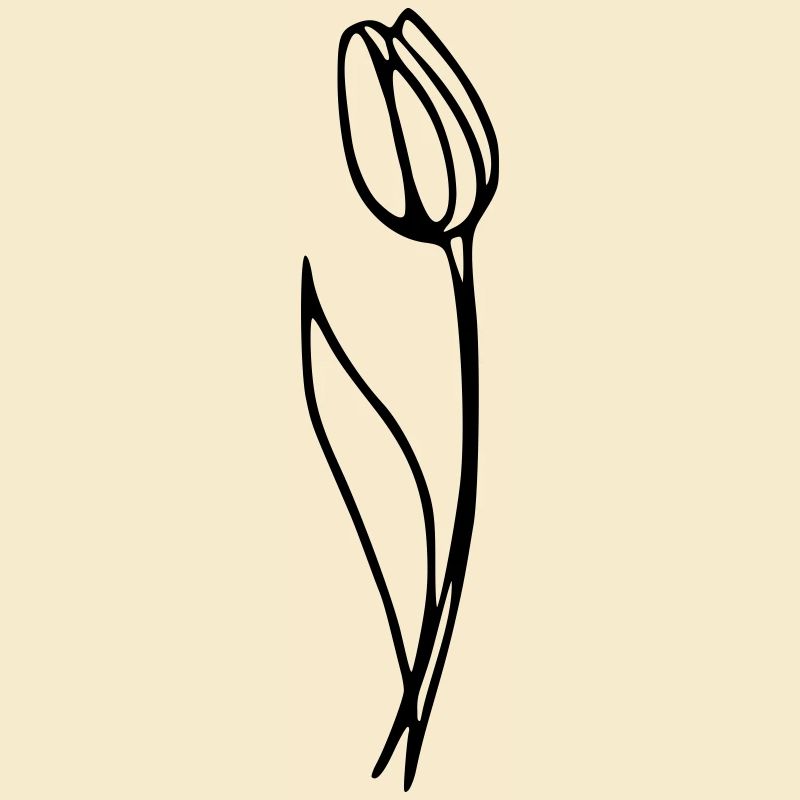 Tulpe