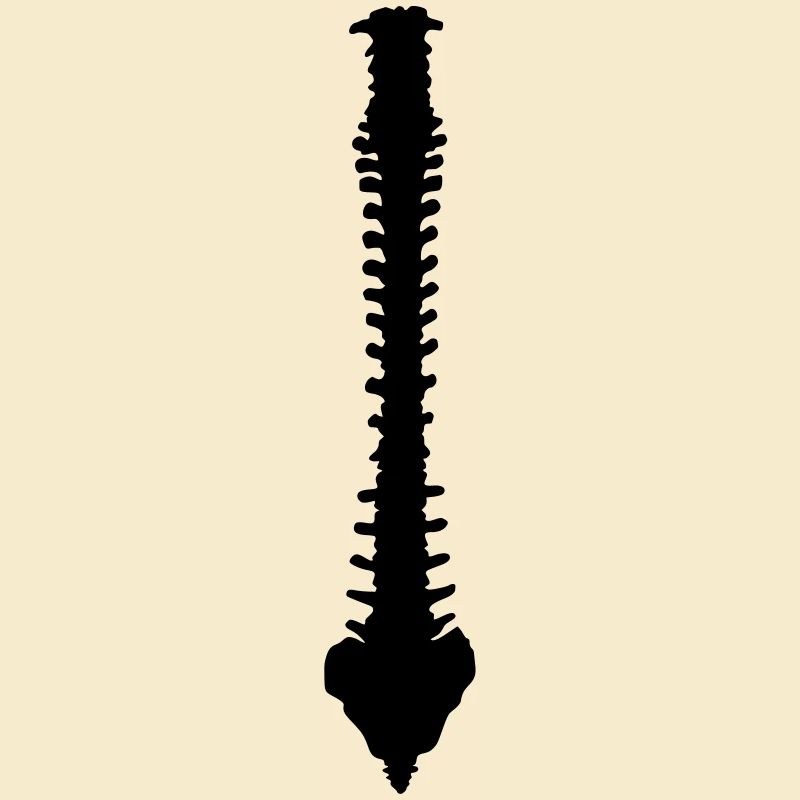 Wirbelsäule