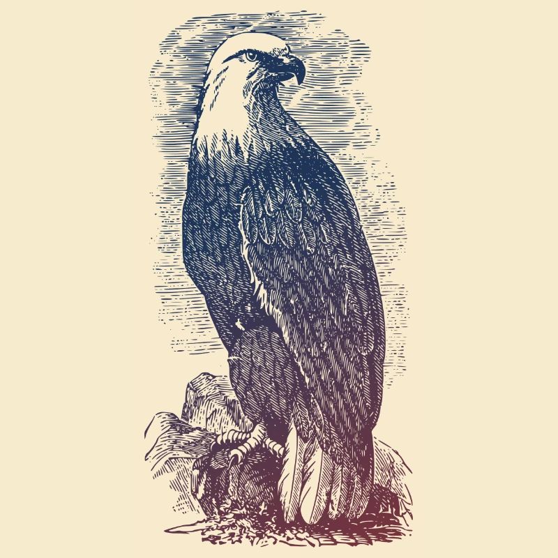 Adler