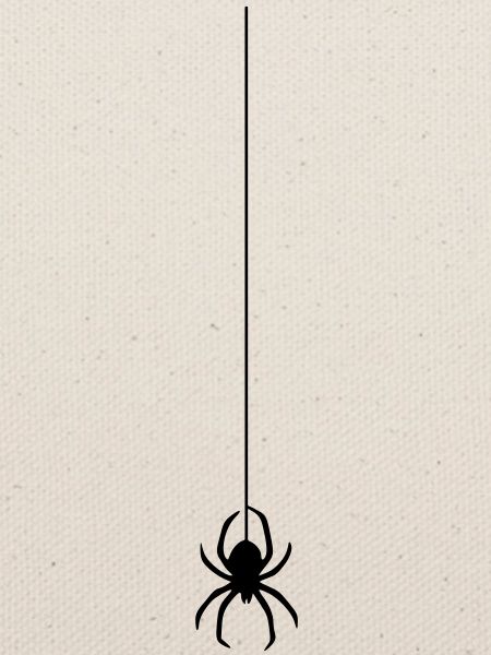 spinne am faden