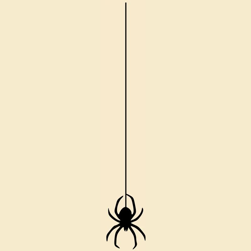 spinne am faden
