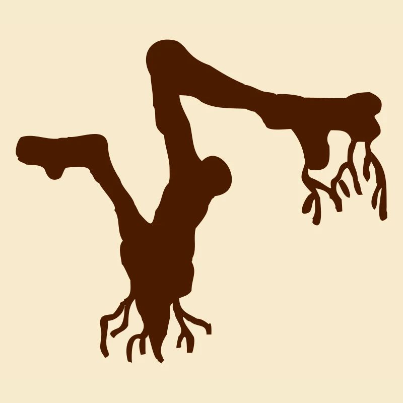Root