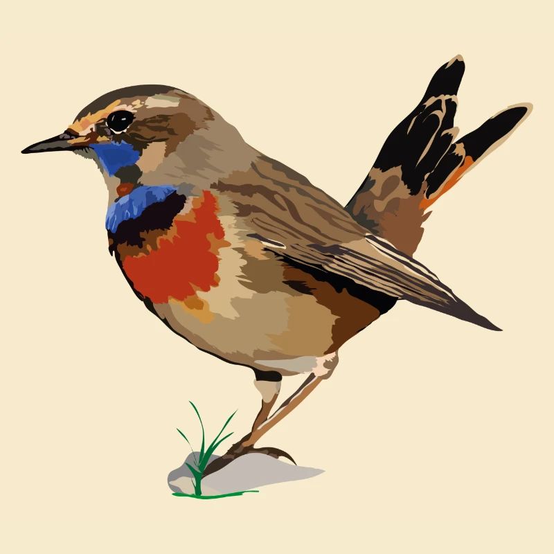 Blaukehlchen_Luscinia svecica