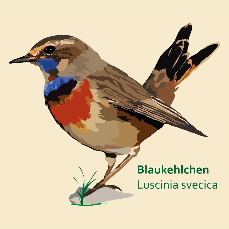 Blaukehlchen_de.png