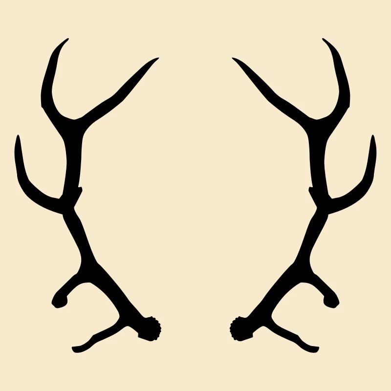 Geweih