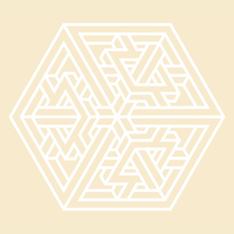 Impossible Maze – Optical Illusion & Escher