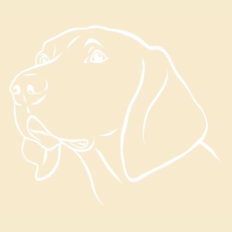 Weimaraner