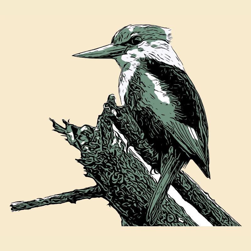 Eisvogel